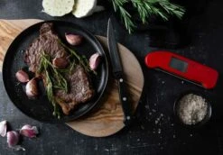 Thermapen One Thermometer, Groen -Huis Keuken eti thermapen one thermometer 62