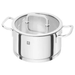 Zwilling Moment S Pot With Glass Lid 3 L/Ø20x10 Cm